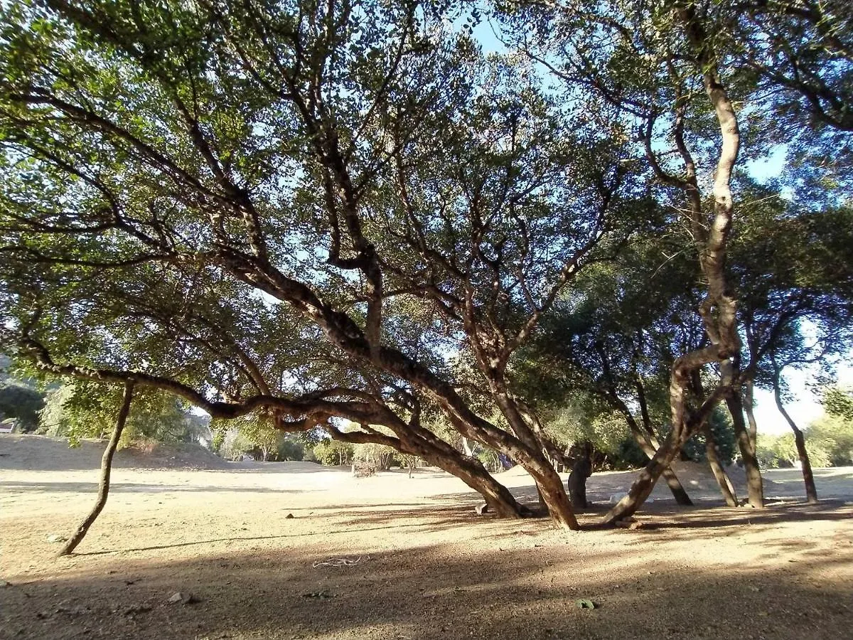 Kamp alanı New Camping Coccorrocci Marina di Gairo İtalya