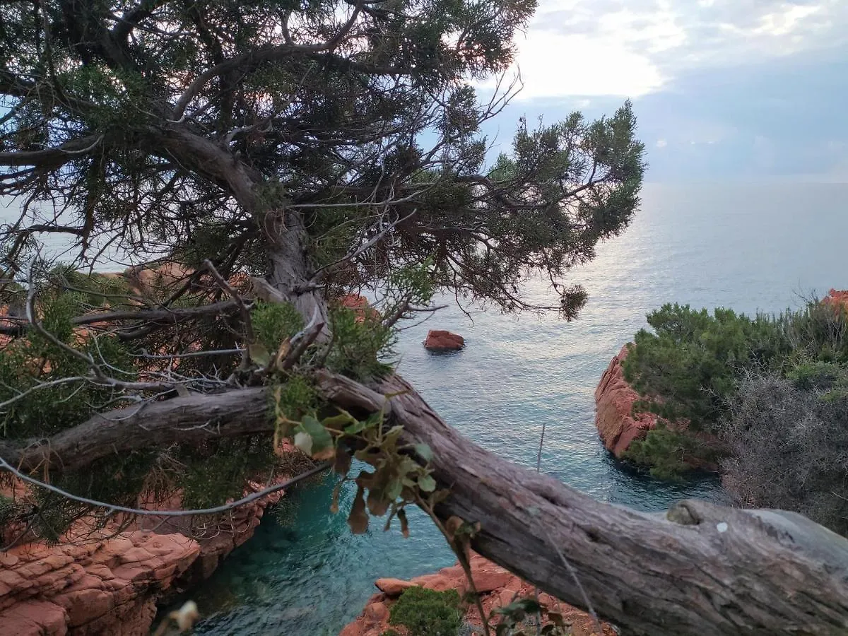 New Camping Coccorrocci Marina di Gairo 0*,  Italie