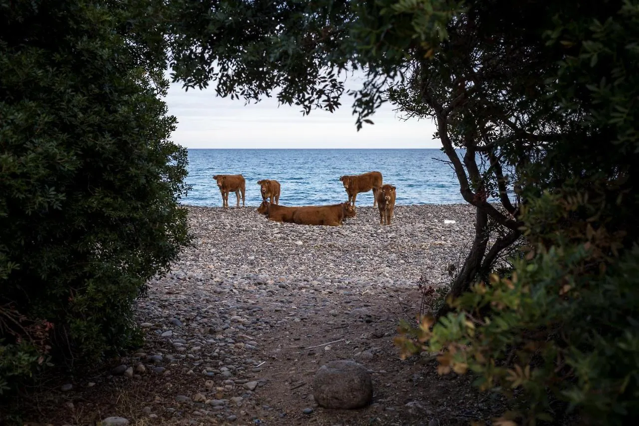 New Camping Coccorrocci Marina di Gairo İtalya
